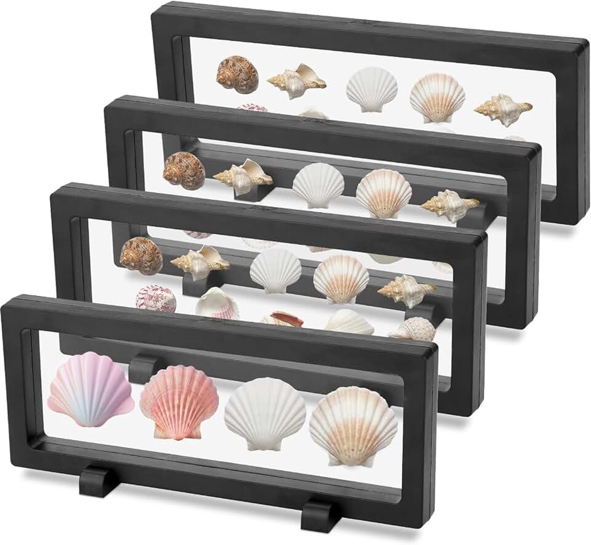 4st 3D Drijvende Displaystandaard voor Schelpen, 23x9x2cm 3D Drijvende Vitrine Muntendisplayframe Muntenvitrine met Standaard voor Schelpen Sieraden Spelden Munten Stenen