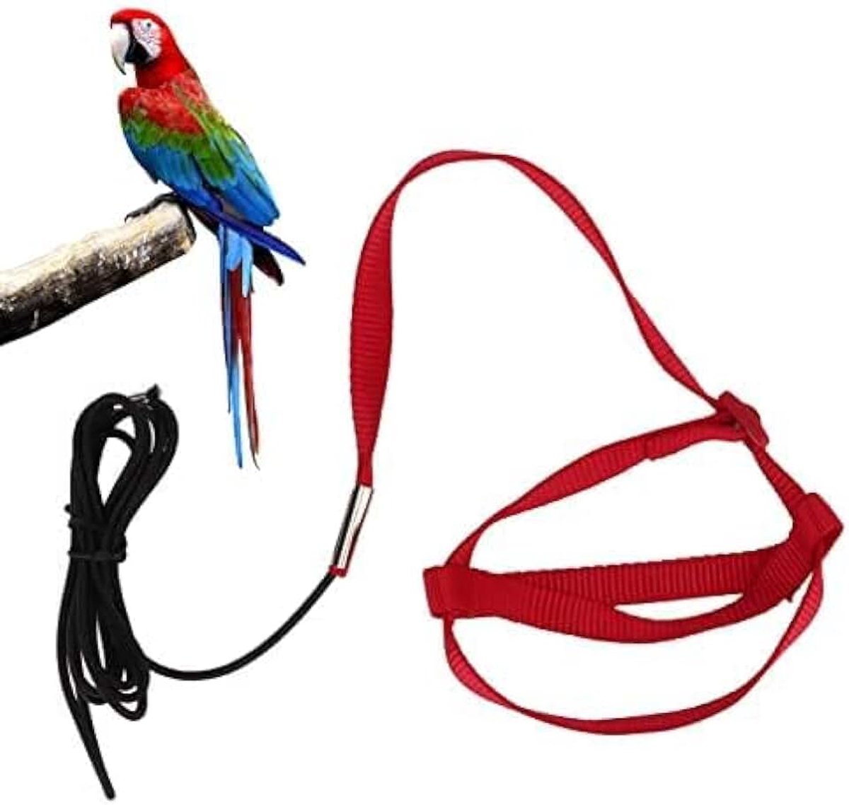 Harnas, verstelbare huisdier papegaai vogel vliegen harnas leiband buitenactiviteiten training voor parkiet, valkparkiet, Alexandrine, Scarlet, Keck(XL)