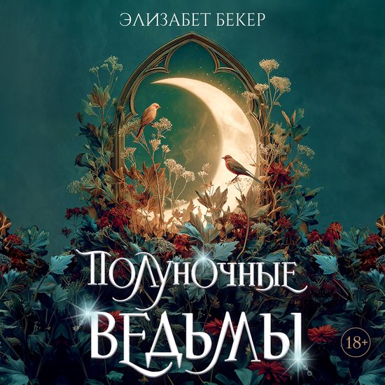 Полуночные ведьмы - cover