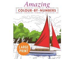 Amazing Colour-by-Numbers Large Print