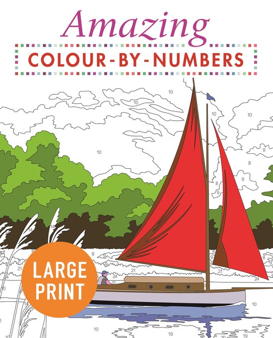 Amazing Colour-by-Numbers Large Print - cover