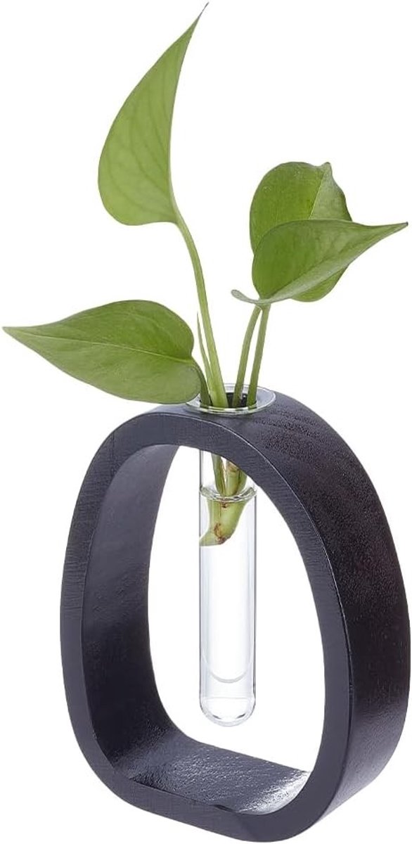Omgoods- Vaas Massief Hout Klein - Hydrocultuur Plant Houder - Decoratieve Bloemhouder - Bureau Decoratie - Woondecoratie voor Terrarium - Bloemvaas
