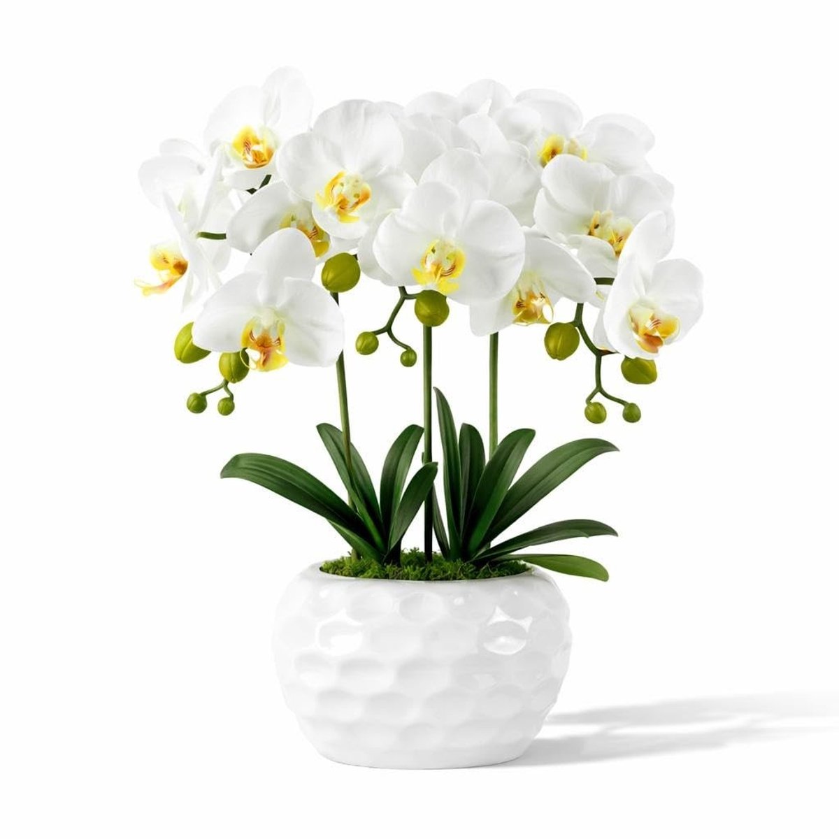 Omgoods - Witte Phalaenopsis Kunstorchidee in Pot