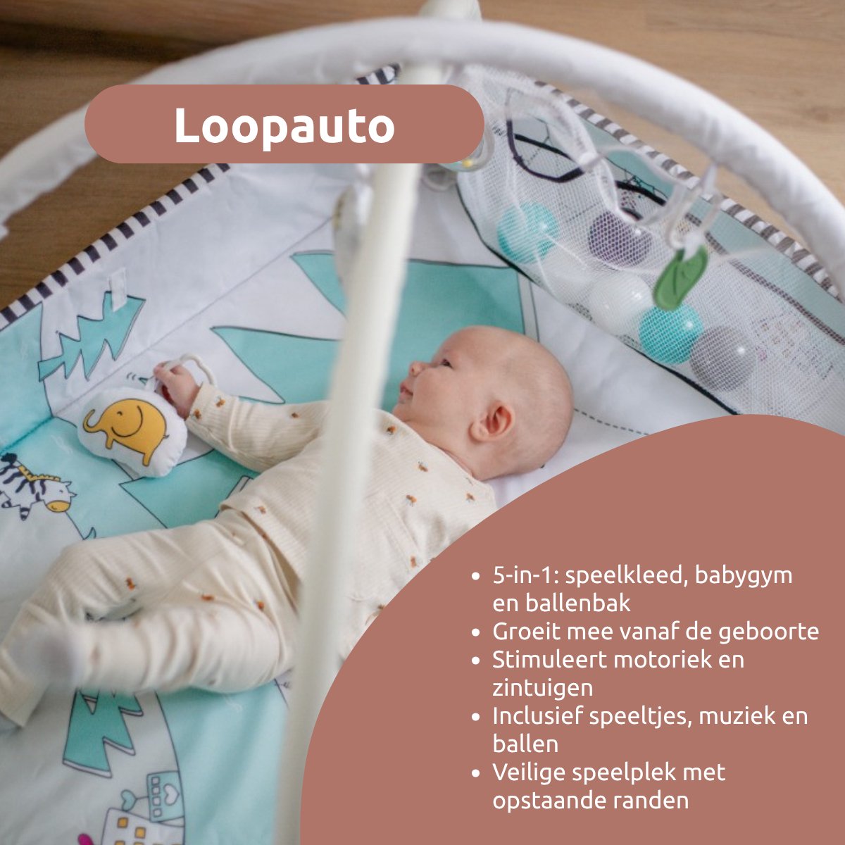 MamaLoes 5-in-1 Multifunctioneel Speelkleed / Ballenbak - Buikligtrainer - Babygym - Speelmat met Boog - Diertjes – foto 2