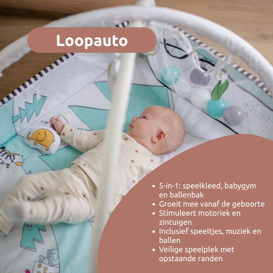 MamaLoes Diertjes 5-in-1 Speelkleed/Ballenbak ML050415 van Mamaloes — afbeelding 2