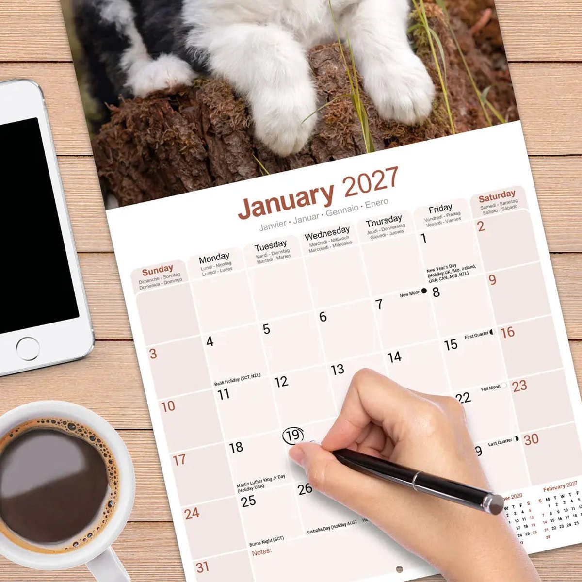 Old English Sheepdog Kalender 2027