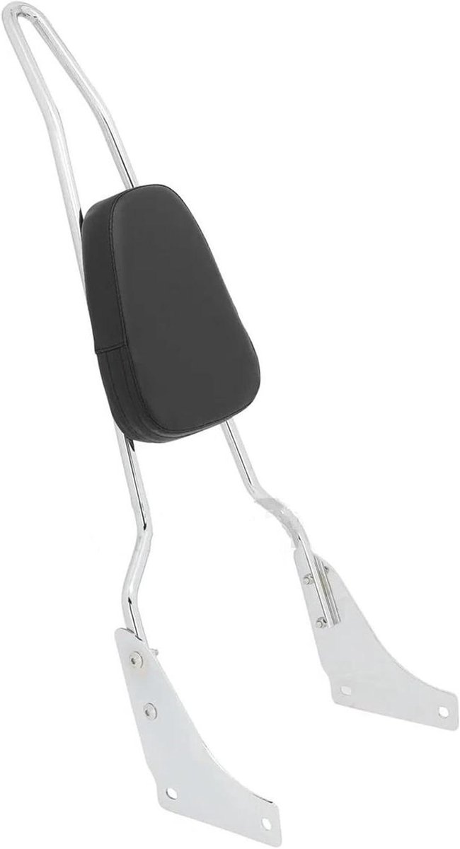 Passagierskussen Motorfiets - Rugsteun Achterbank - Comfortabele Ritten - Afneembare Sissy Bar - N.v.t. - Zilver
