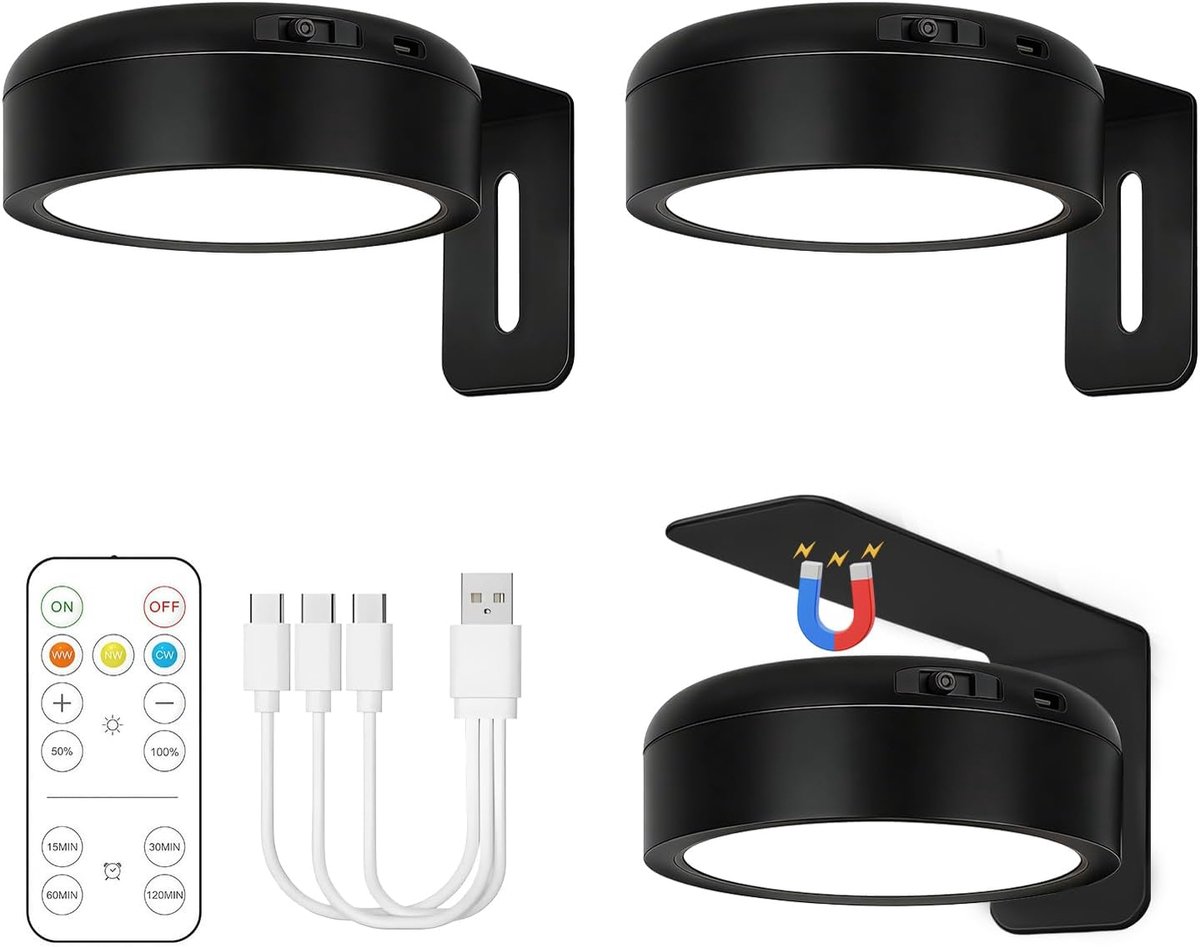 Schilderijlamp met afstandsbediening - 3 kleurtemperaturen - Batterijvoeding - Perfect voor accentverlichting - ShopVlot