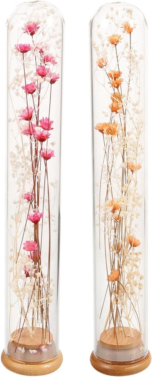 Geconserveerde Bloemen - Gedroogde Rozen - Decoratie Huis - Handgemaakt Glas - 23 cm Hoog - Multicolor