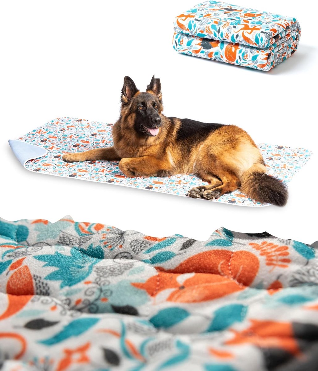 SnelShoppen - Luxe Wasbare Plasmat XL voor Grote Honden - 2x Meer Absorberend - Herbruikbaar en 100% Waterdicht Training Mat - Puppy Pad met Anti-Geur