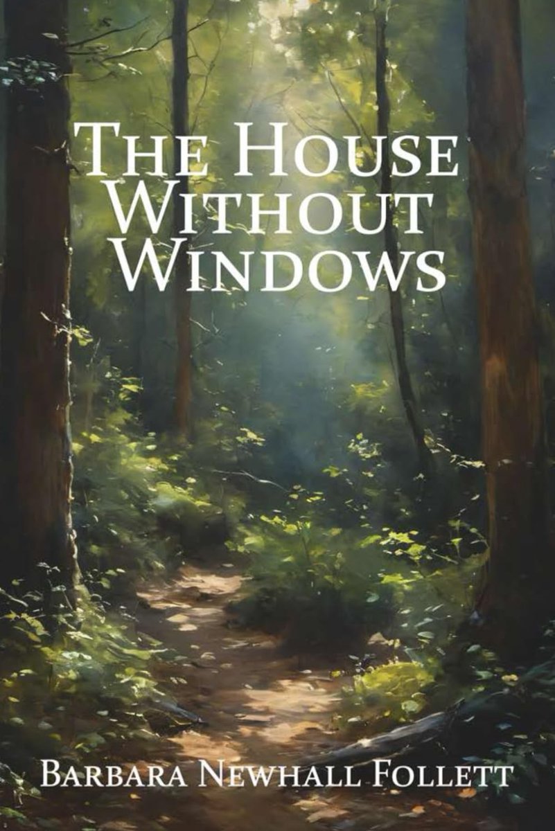 The House Without Windows - ShopVlot
