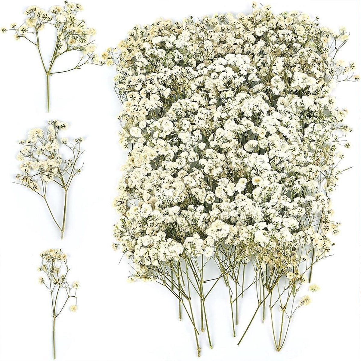 100 Stuks Gedroogde Gypsophila Bloemen, Natuurlijke Mini Boeketten voor Decoratie, Bruiloften en Ambachten, Witte Bloemen met Groene Stelen