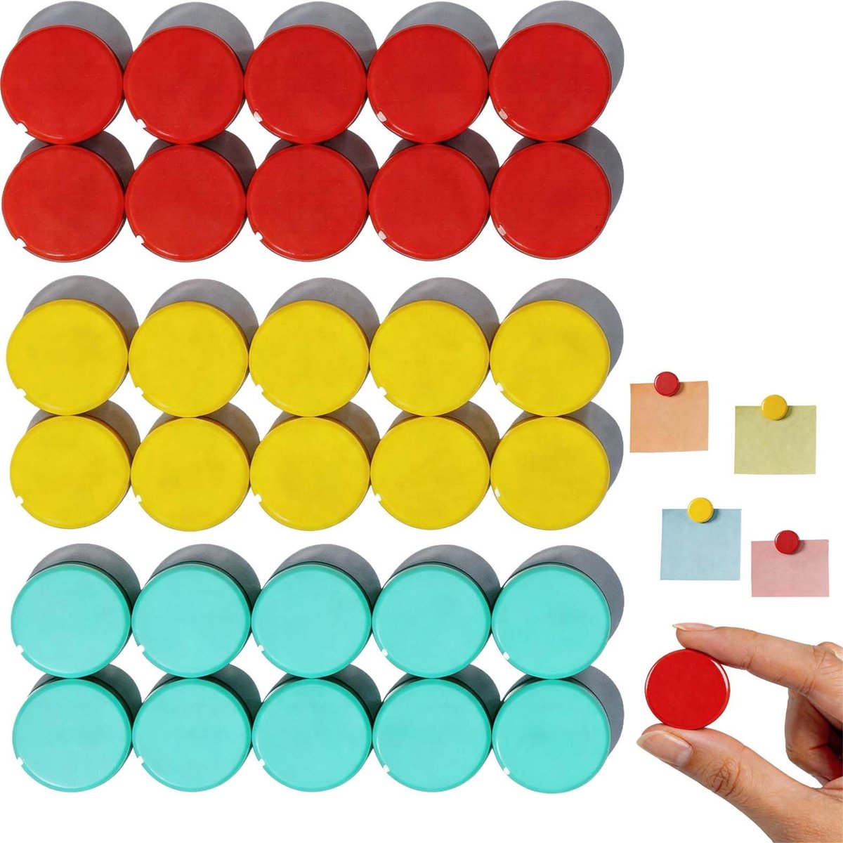 Elzusha - Set van 30 Mini Magneten voor Koelkast
