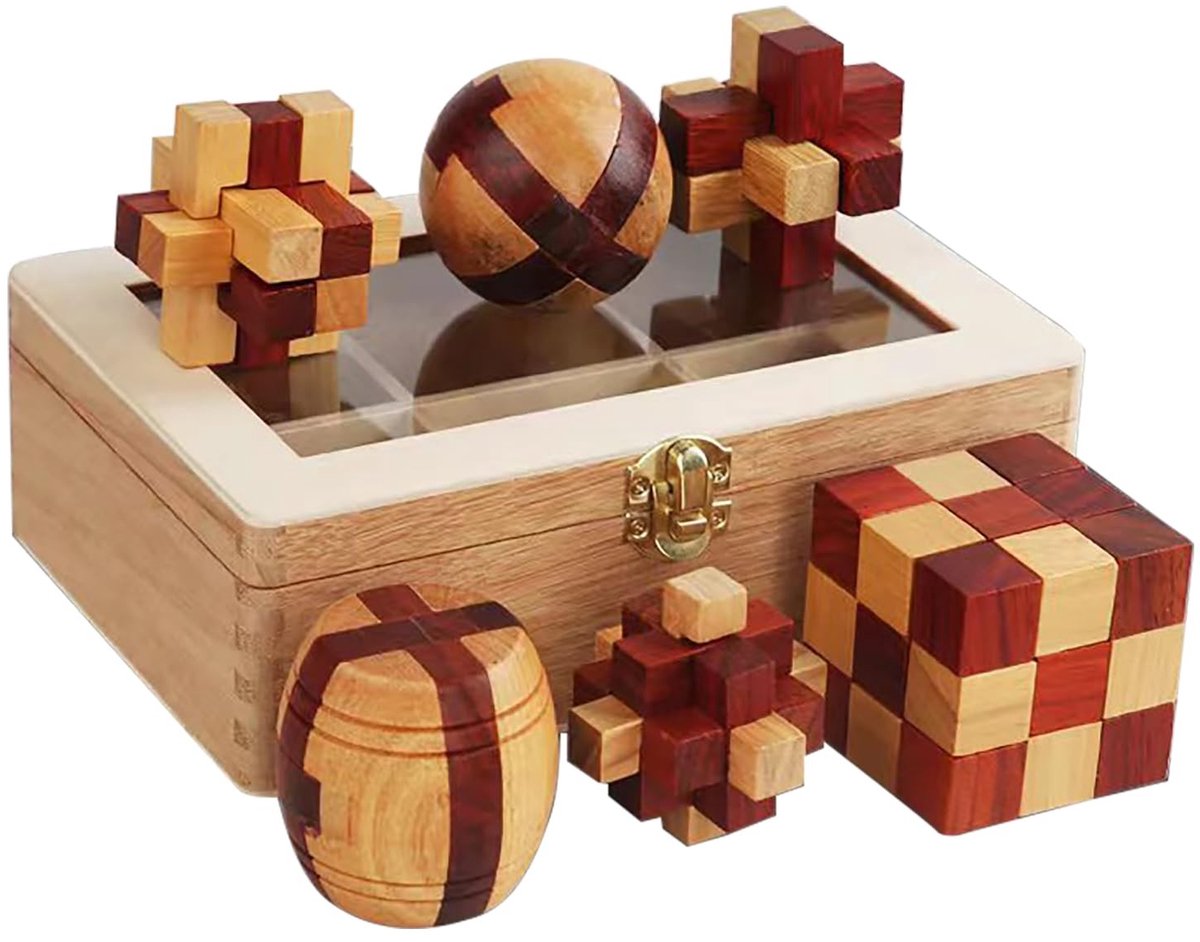 Solidchoice - Set van 6 Houten Puzzels voor Breintraining