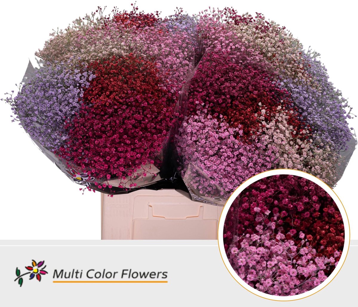 25x Gipskruid m.stars love mix 70cm