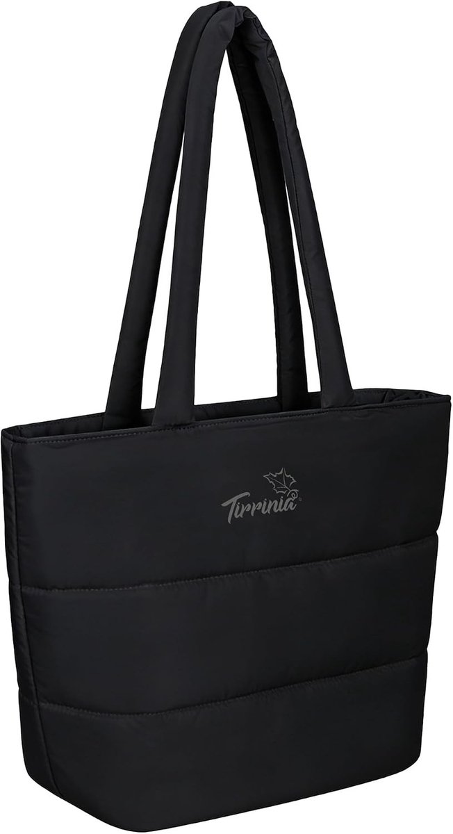 Koelrugtas - Zwart - 41,9 x 31,8 x 17,1 cm - Geïsoleerde Polyester Lunchrugzak - Voor Kinderen en Volwassenen
