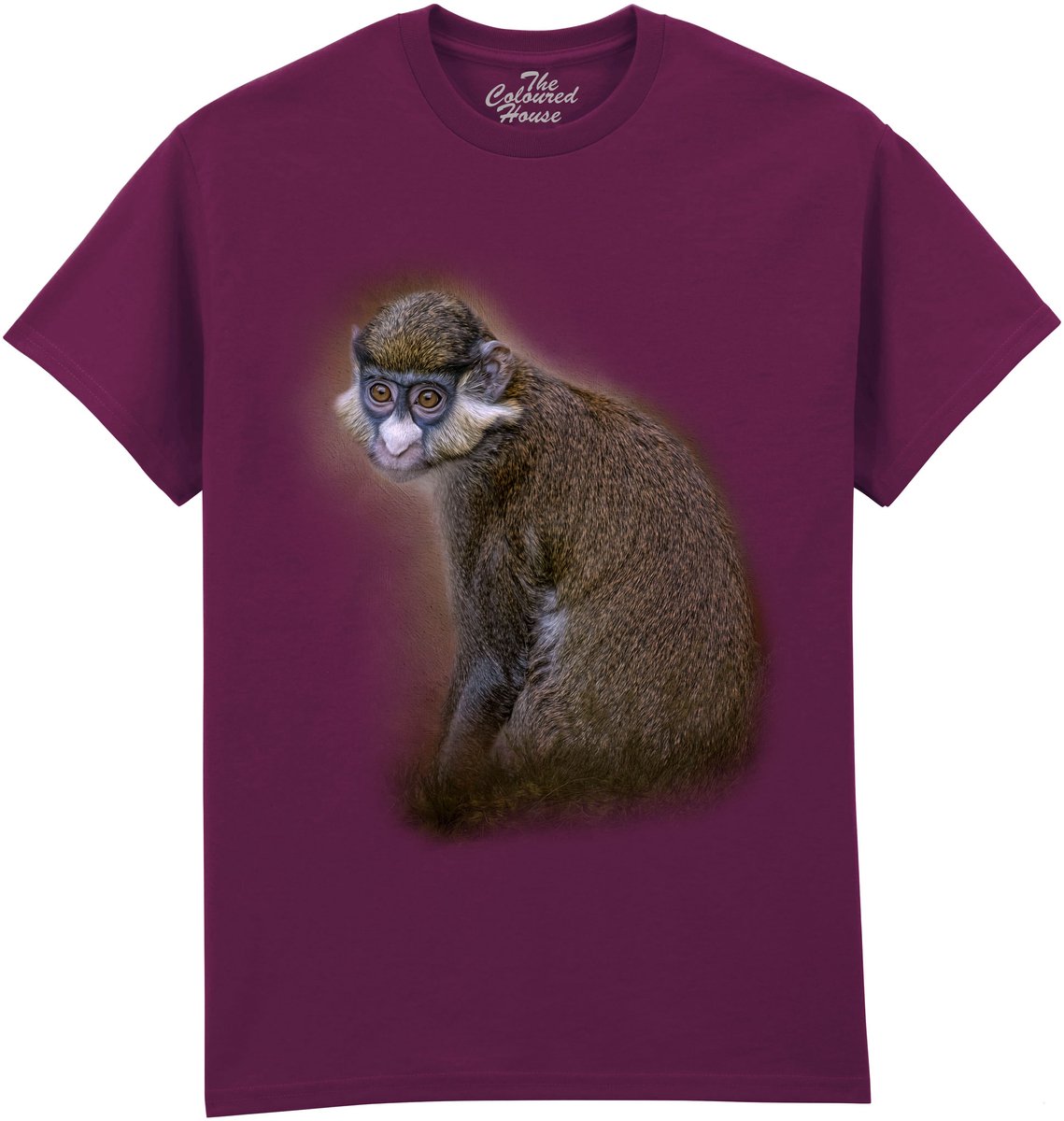 Aap Clever Eyes The Coloured House T-shirt XL