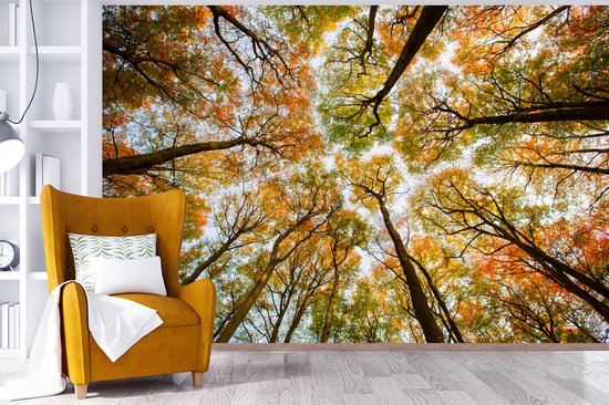Papier peint - Papier peint photo Forêt - Arbres - Automne - Largeur 420 cm x hauteur 280 cm