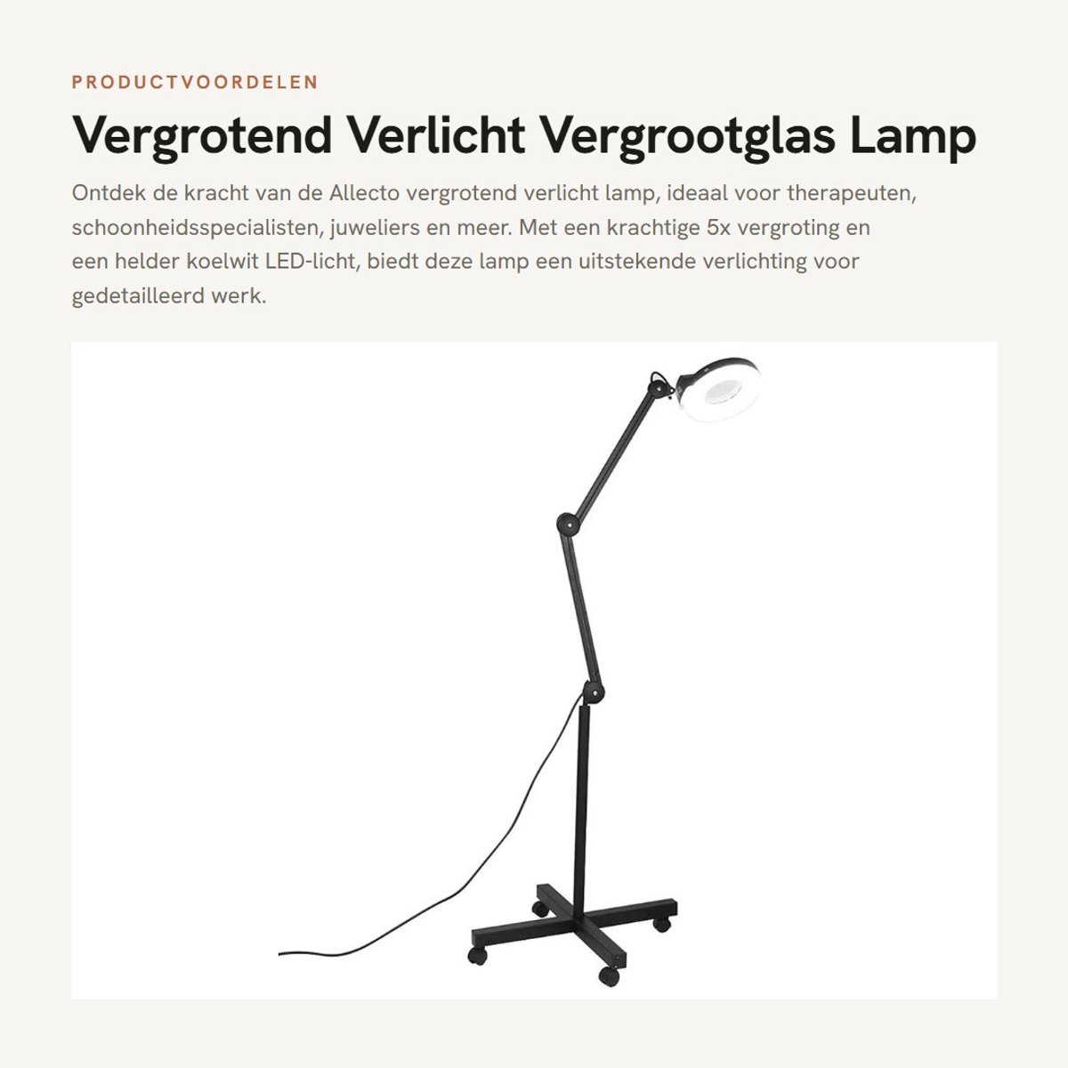 Dailygoods - Vergrotend Verlicht - Vergrootglas Lamp - Hoogwaardige LED verlichting - Zwart - Cosmetische Make-up - Perfect voor schoonheidsspecialist...