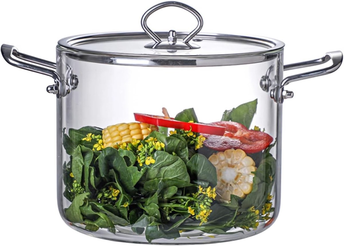 Dailygoods- Stoofpot Hittebestendig - Glazen Kookpan - Dubbelhandgrepen - Transparant Ontwerp - Voor Soep/Sauzen - Ideaal voor Babyvoeding