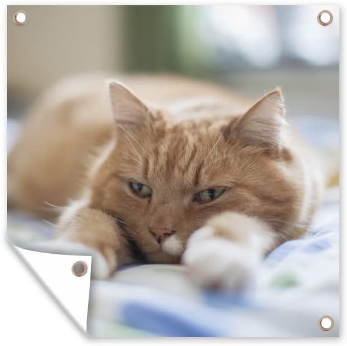 Tuinposter - 50x50 cm - Kat - Bed - Bedsprei - Meisjes - Kinderen - Jongens - Kind