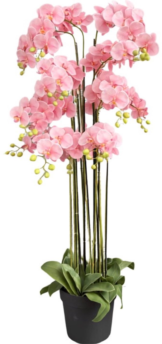 Orchidee new pink in pot H 160 cm kunstplant Oosterik Home