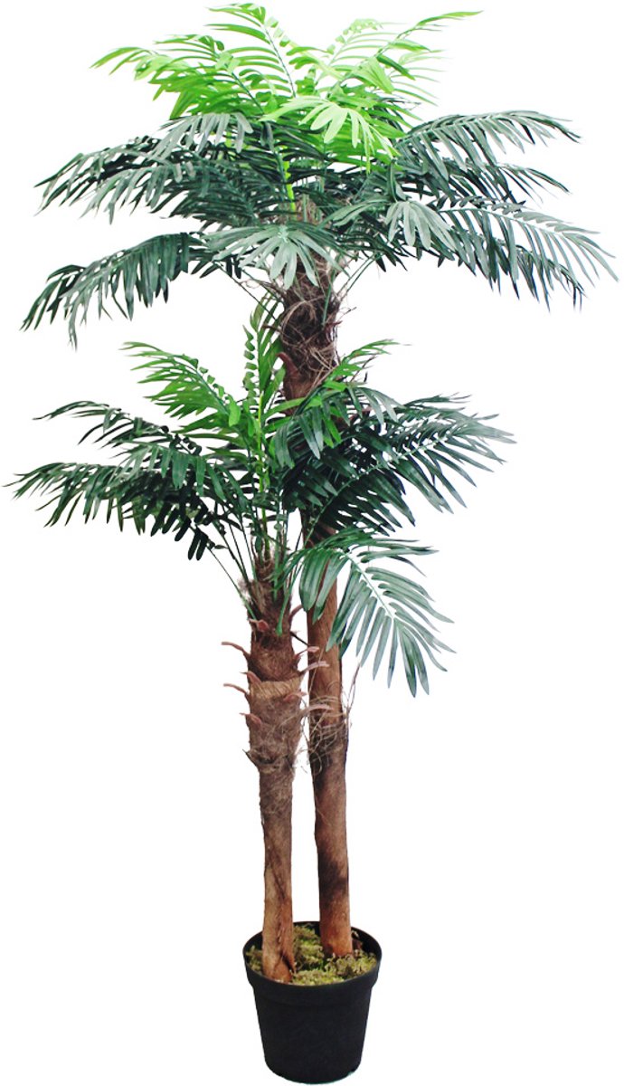Kunstmatige Royal Palm Kokospalm Echt Hout Decoratie Bininnen 170cm DECOVEGO