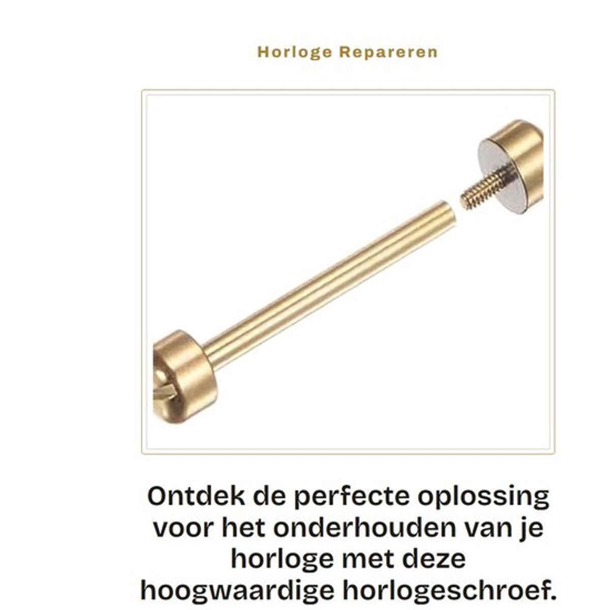 Horloge Schroef Duurzaam Roestvrij Staal - Verbindingstaaf - Slank Ontwerp - Afgeronde Schroefkop - Lange Levensduur - Betrouwbaar Gebruik - Horloge Band