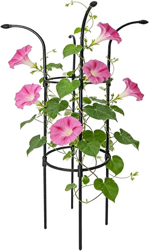 Plantensteun Buiten - Klimplantsteun Tuin - Verticale Plantengroei - Verstelbare Hoek - 100 cm - Zwart