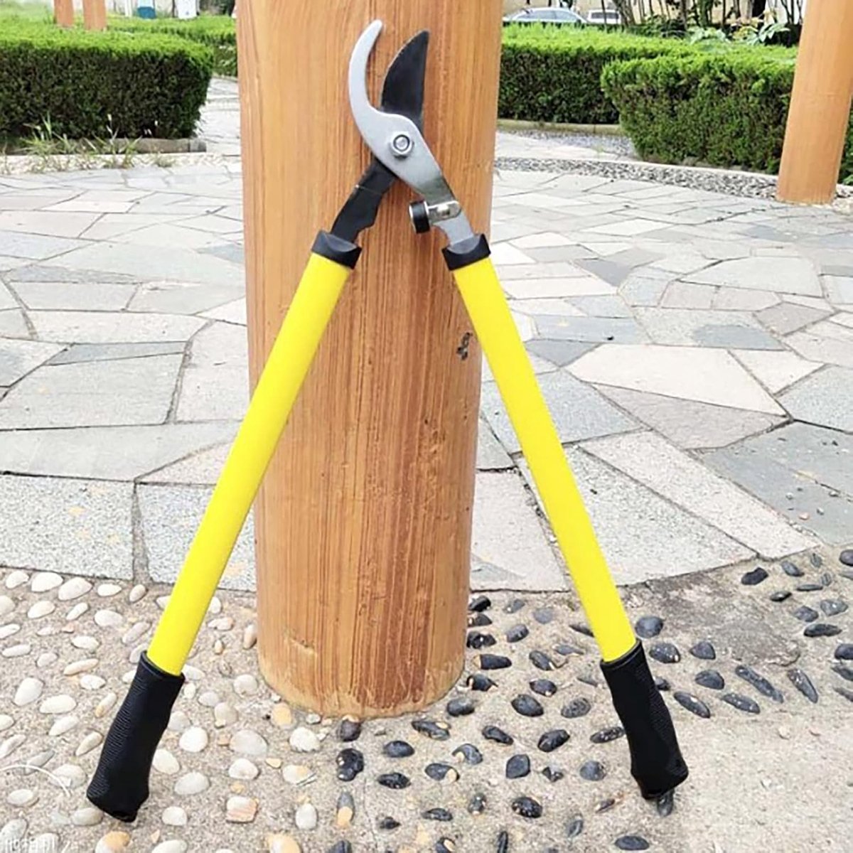 Telescopische Snoeischaar - Hoge Takkenknipper Tuinschaar - Tuinonderhoud Snoeien - Verstelbaar Bereik - 26 Inch - Zilver