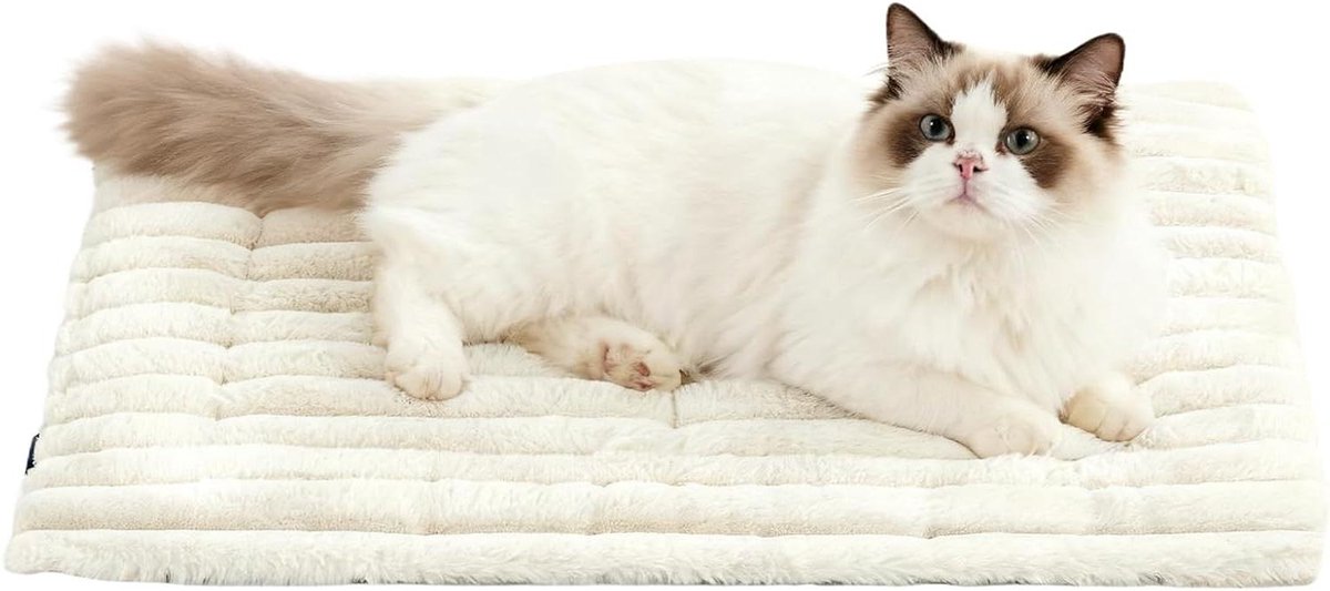 Huisdier Bench Kussen - Mat Hond Kat - Comfort Bieden - Huidvriendelijke Thermische Stof - 61x45 cm - Wit