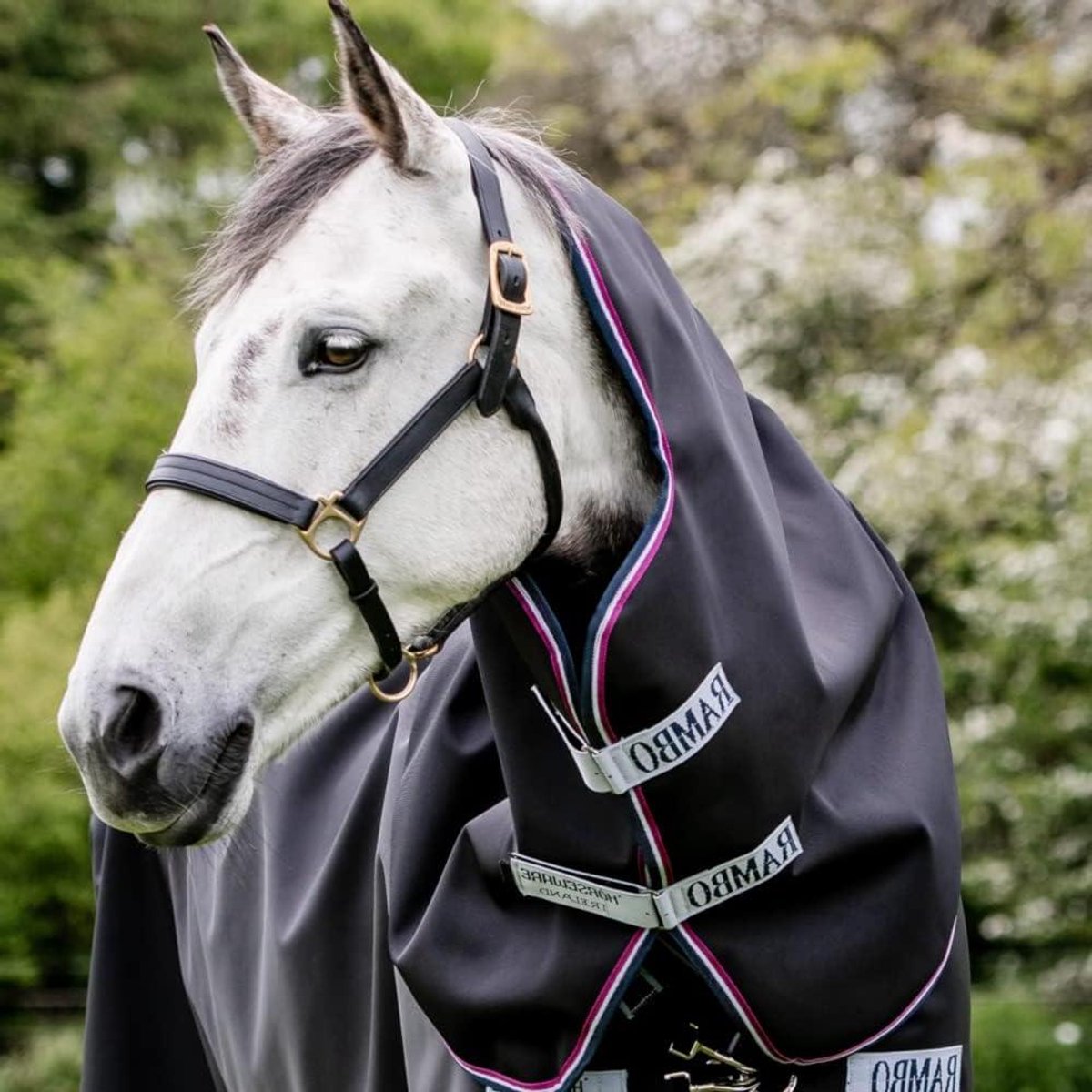 Paardendeken Halsstuk - Halskraag Paard - Paard Warm Houden - Waterdicht Ademend - Verstelbaar - Marine