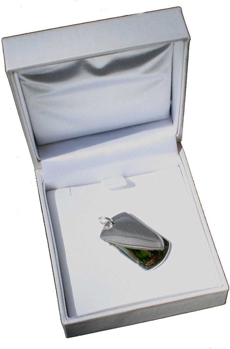 Hondenpenning Graveren - Hondenpenning Naam - Huisdier Identificatie - Gegraveerd Sterling Zilver - Standaard Maat - Zilverkleurig
