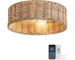 19 inch Natuurlijk Rotan Plafondventilator met Licht - Dubbele bediening via app en afstandsbediening - 6 snelheden omkeerbaar - Stille motor - ABS-bladen - Geschikt voor kleine lage ruimtes in rustieke Wabi-Sabi stijl