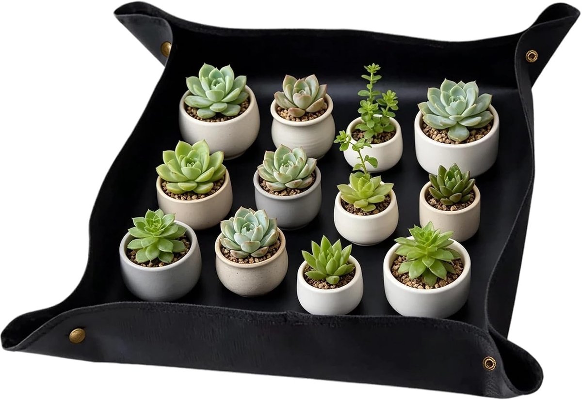 Waterdichte Repotting Mat 1x1m voor Binnen en Buiten, Ideaal voor Vetplanten en Huishoudplanten, Eenvoudig Schoon te Maken Tuinzeil (Zwart)