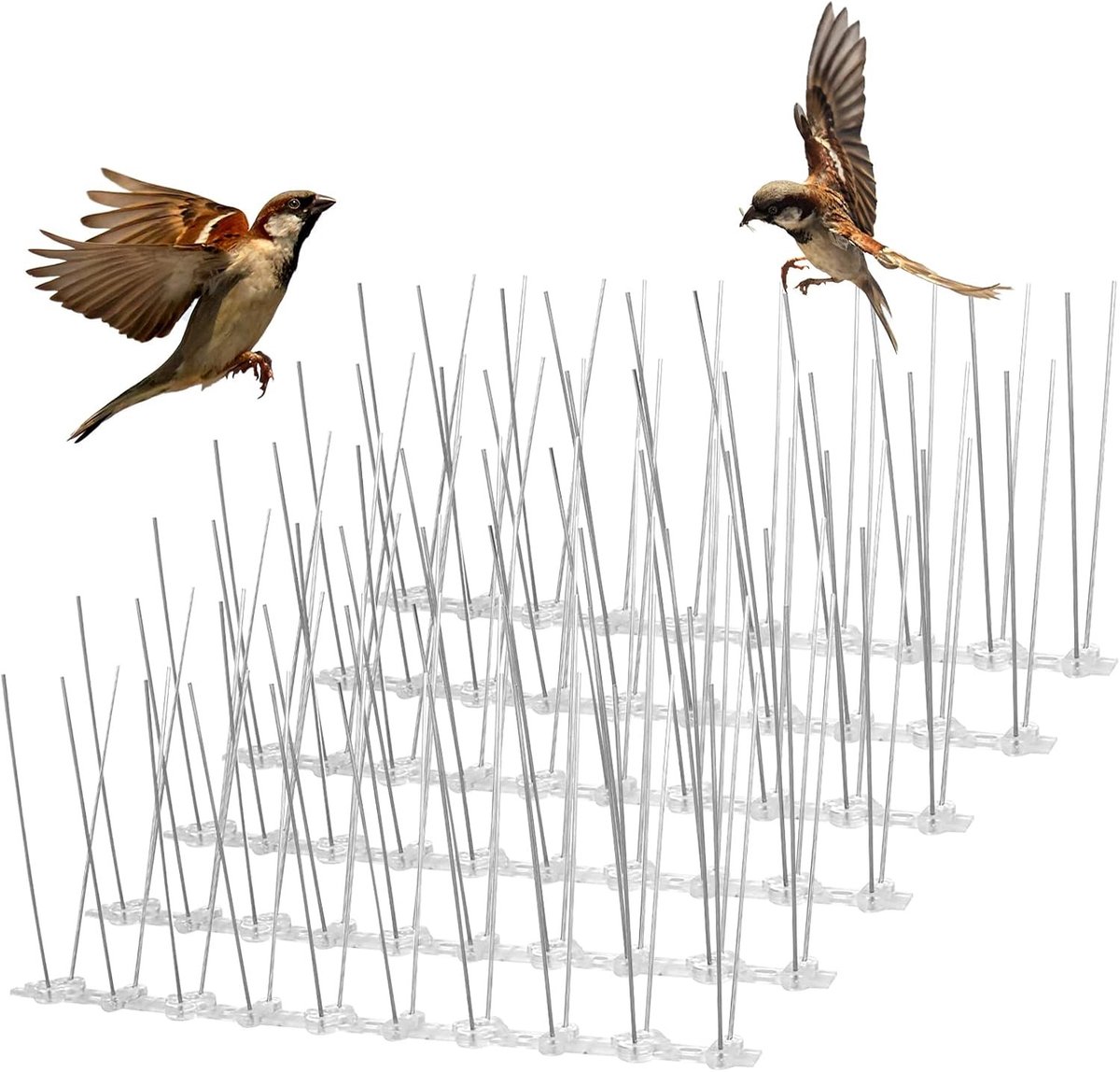 6 Pack Vogelspikes van RVS, Effectieve Afschrikking voor Duiven, Meeuwen en Kleine Vogels, Bescherming tegen Klimmen op Muren en Hekken