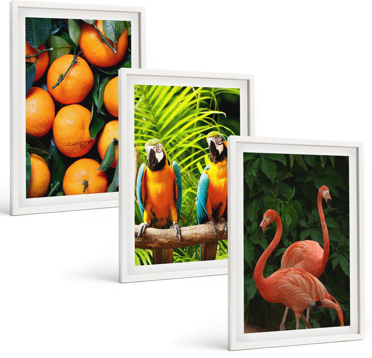 Wallfluent 3-Delige Schilderij Set - Fruitige Accenten Met Papegaaien En Flamingo'S In De Tropen - 40 x 60 - Schilderijen Set - Wanddecoratie - Woonkamer