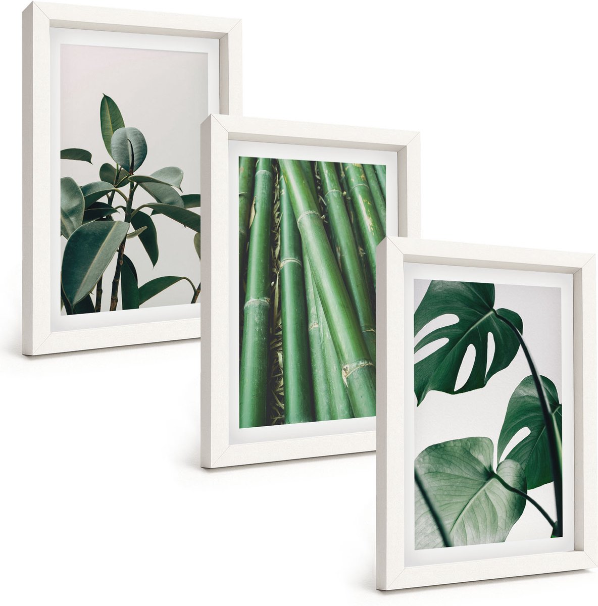 Wallfluent 3-Delige Schilderij Set - Bamboe Stengels, Kamerplanten En Monstera Bladeren - 20 x 30 - Schilderijen Set - Wanddecoratie - Woonkamer - Decoratieve Schilderijen