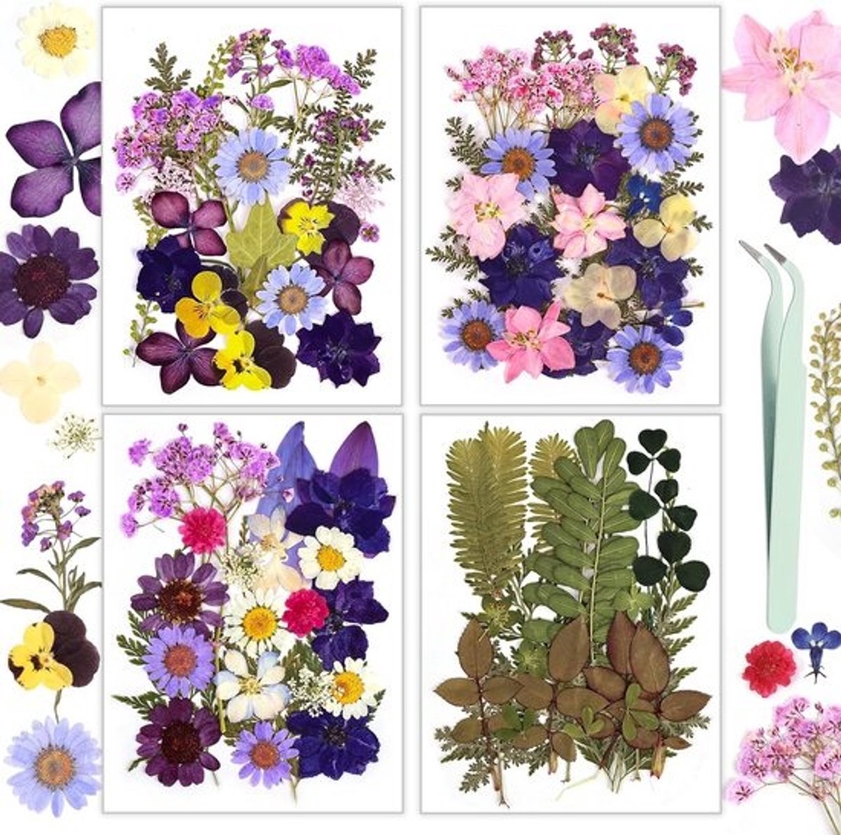 100 Natuurlijke Gedroogde en Geperste Bloemen voor Hars, Kaarsen, Zeep en Knutselen