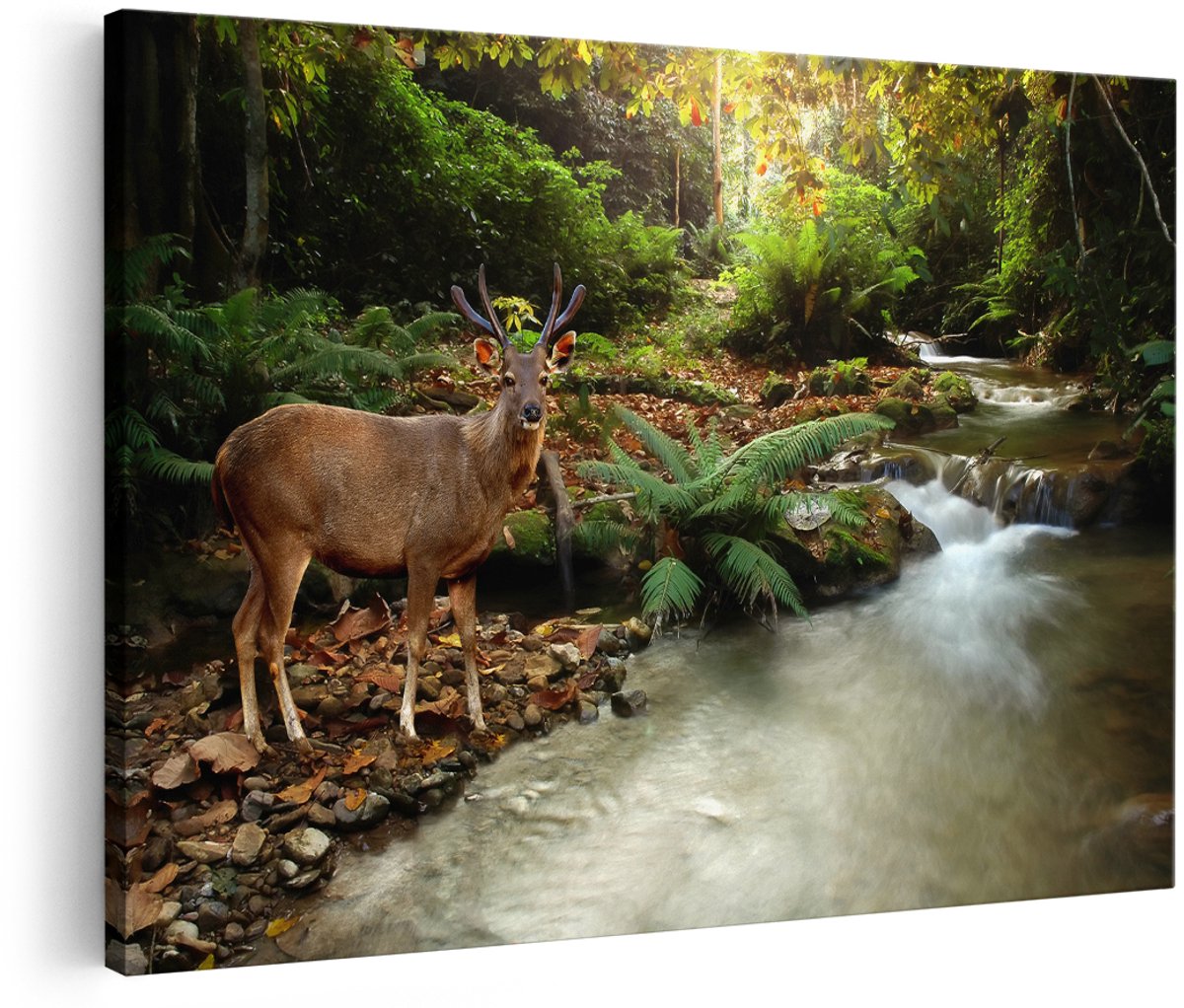 Artaza Canvas Schilderij Hert bij een Rivier in een Jungle - 180x120 cm - Groot - Foto Op Canvas - Wanddecoratie Woonkamer