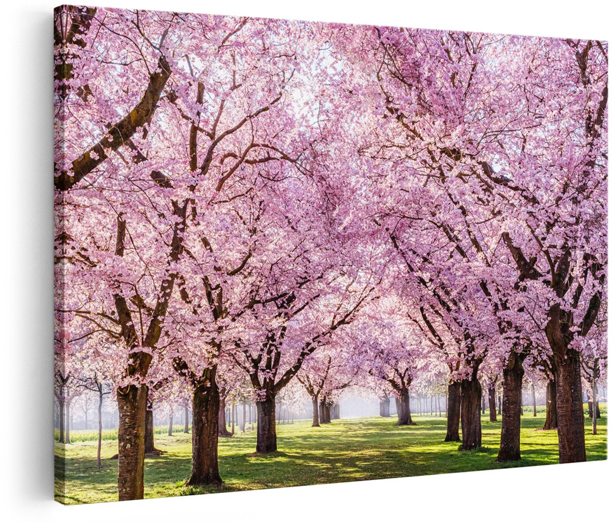 Artaza Canvas Schilderij Roze Bloesembomen Park - Bloemen - 180x120 cm - Groot - Foto Op Canvas - Wanddecoratie Woonkamer