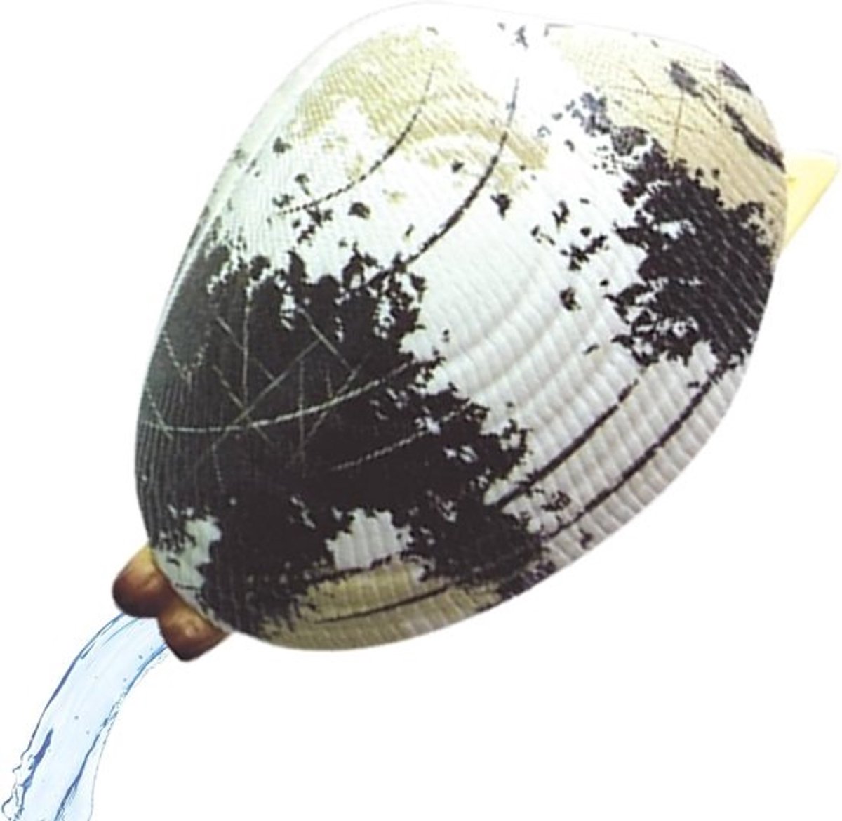 Waterschelp Sproeier - Kinderspeelgoed - Waterpret Buiten - Realistisch Ontwerp - 6 x 4 cm - Willekeurig