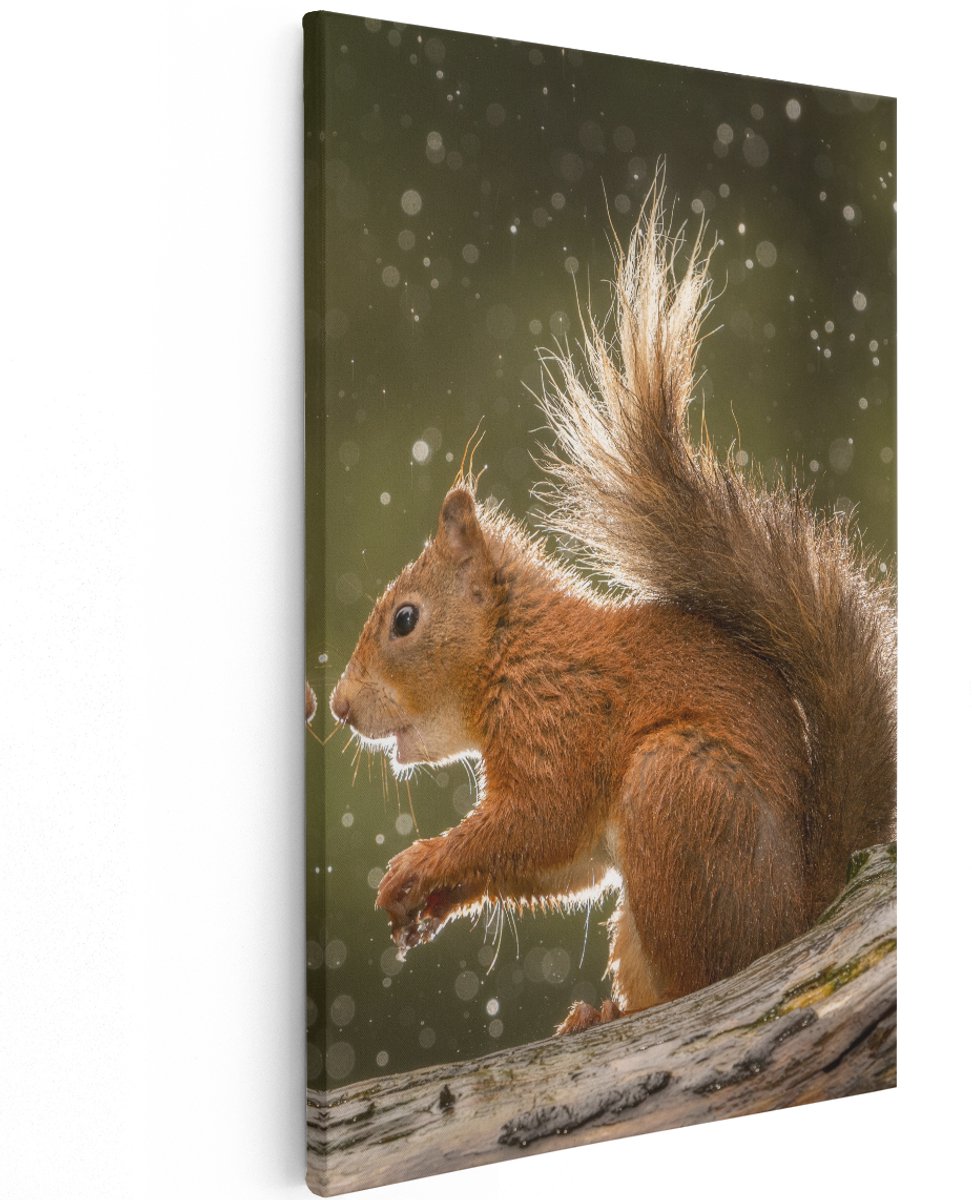 Artaza Canvas Schilderij Eekhoorn in de Regen - 120x180 cm - Groot - Wanddecoratie Woonkamer - Schilderijen - Muurdecoratie