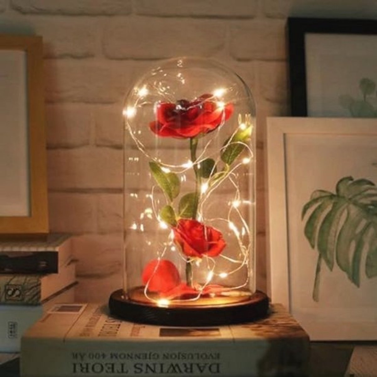 Eeuwige Roos in Glazen Koepel met Warme Lichten - Perfect Cadeau voor Valentijnsdag, Moederdag en Verjaardag