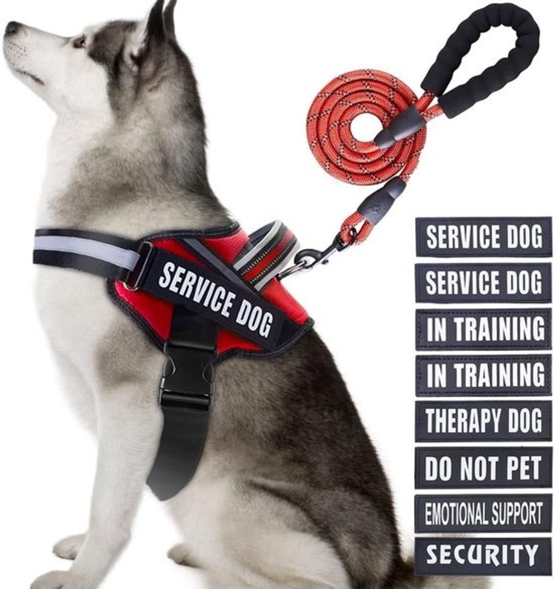 Hondenvest en Lijn Set: In Training Harnachement met Reflecterende Leash en 10 Opzetstukken