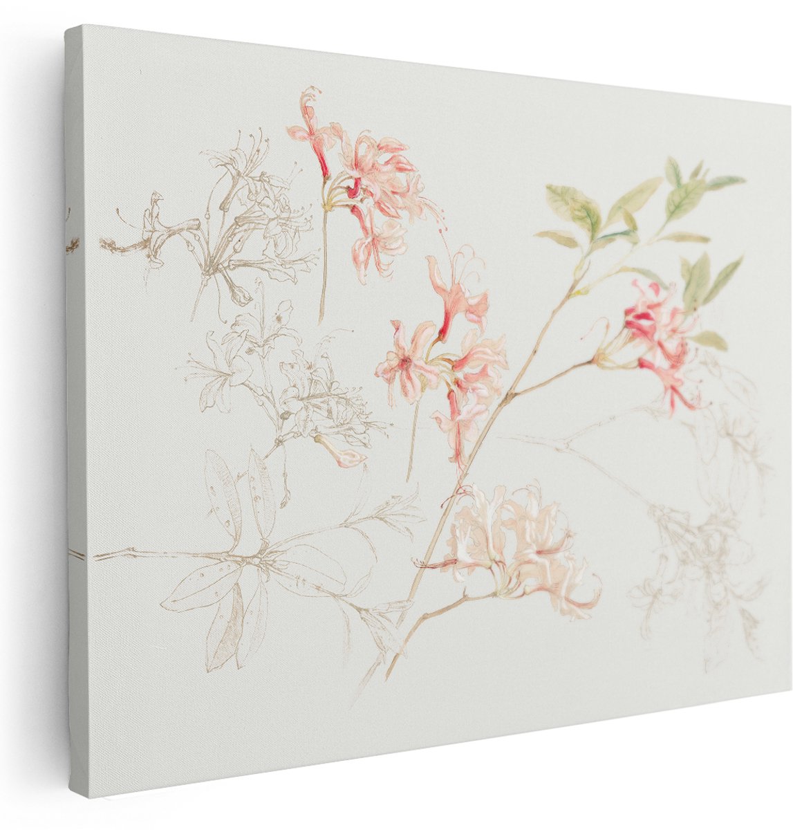 Artaza Canvas Schilderij Azalea - 160x120 cm - Groot - Wanddecoratie Bloemen Aquarel - Muurdecoratie Vintage Schets - Schilderijen Op Canvas Roze