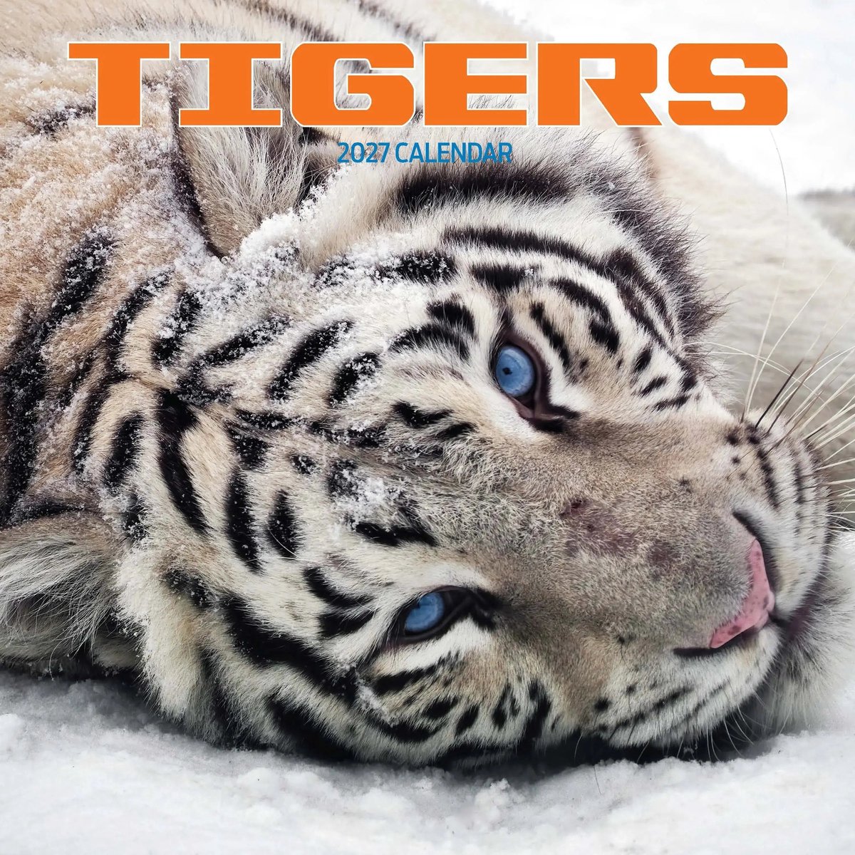 Tijger Kalender 2027