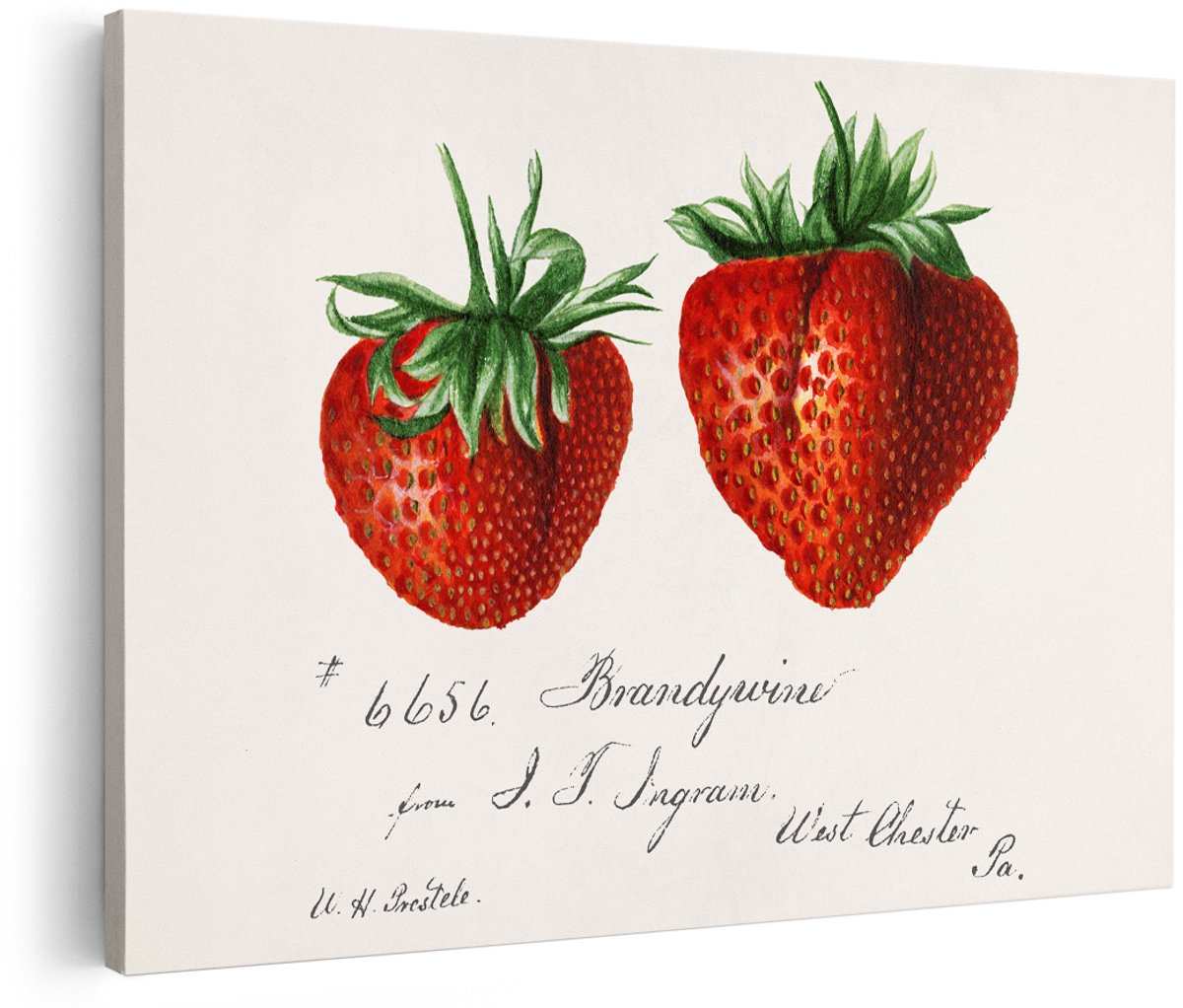 Artaza Canvas Schilderij Aardbeien - 150x100 cm - Groot - Wanddecoratie Keuken - Muurdecoratie Vintage - Decoratie Fruit Illustratie