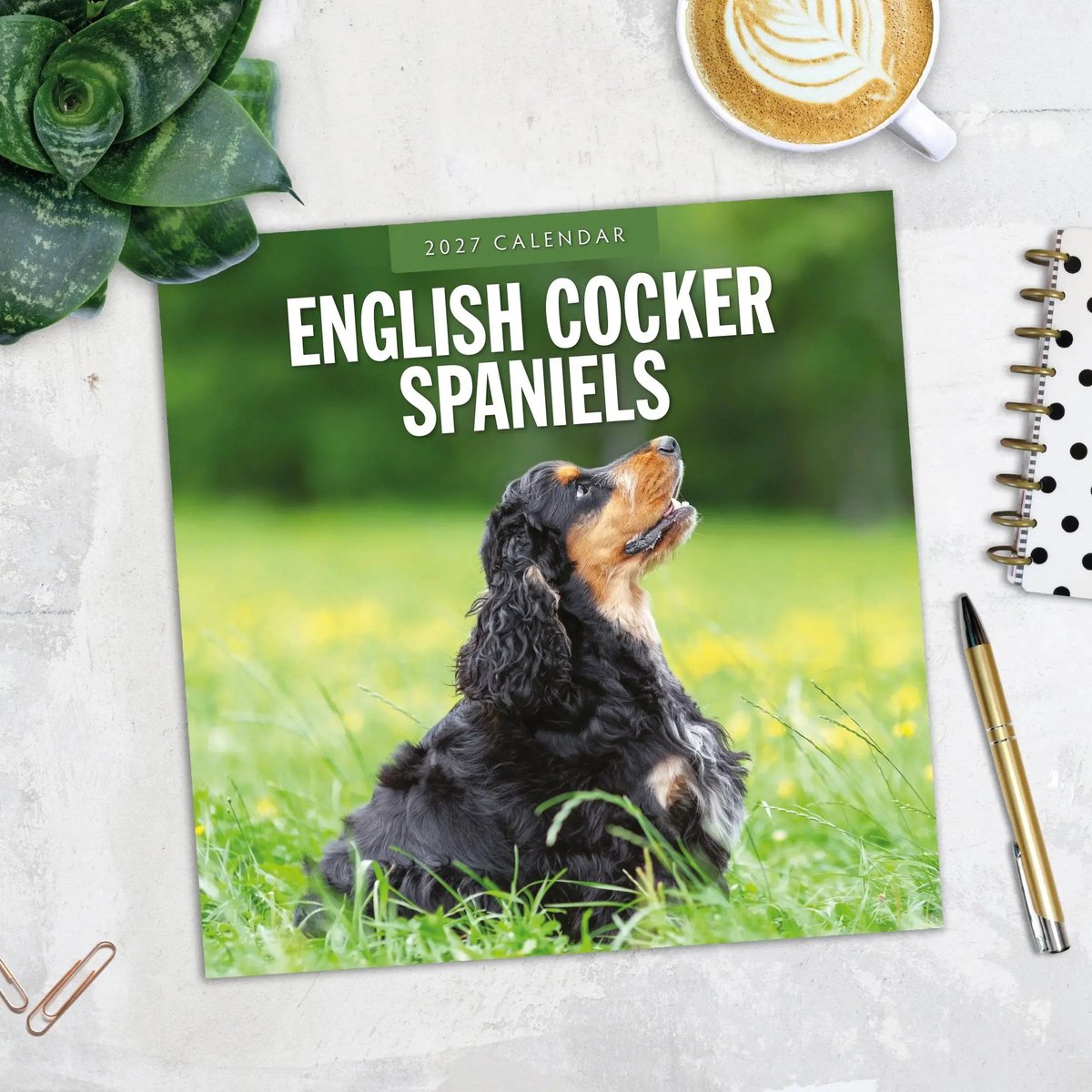 Engelse Cocker Spaniel Kalender 2027