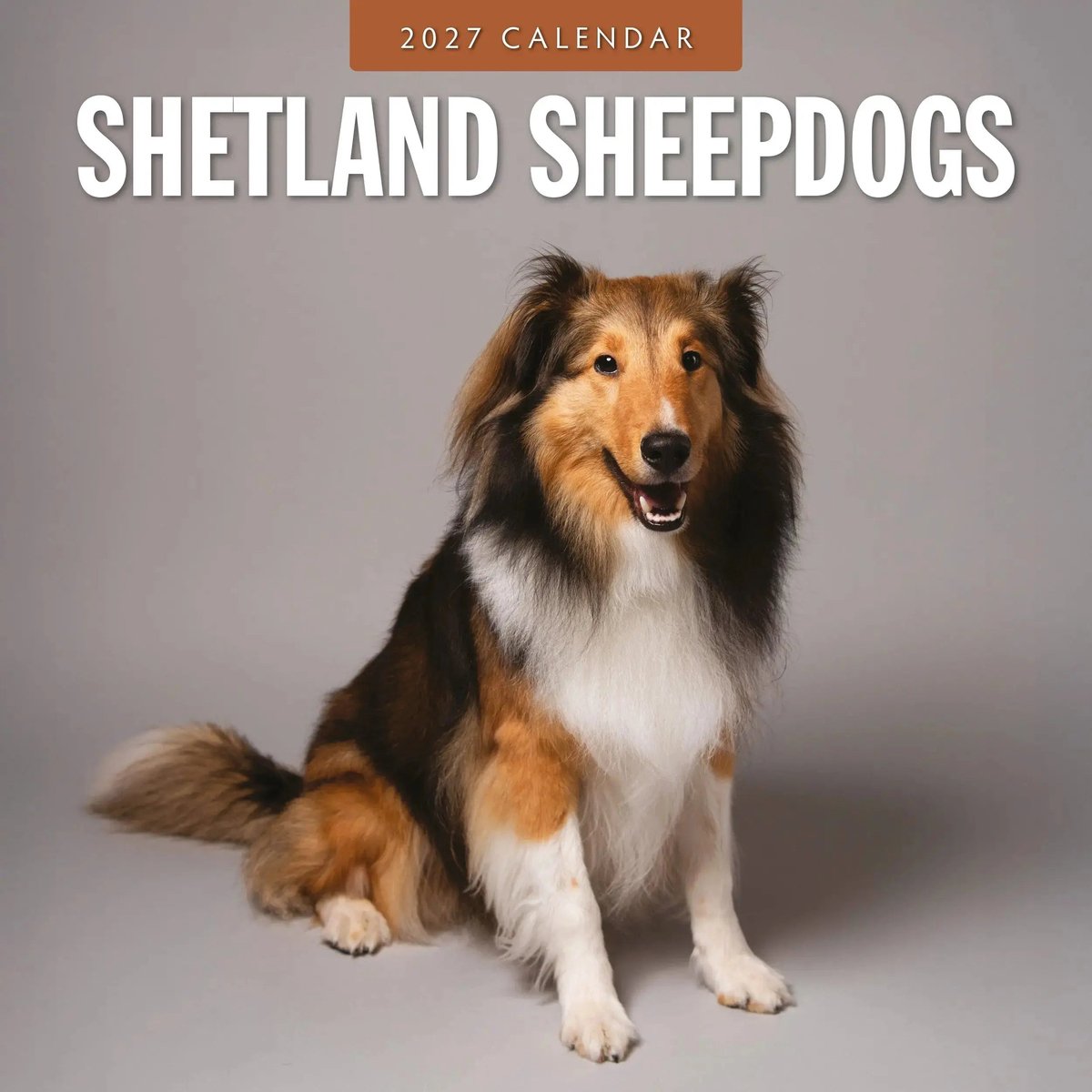 Shetland Sheepdog Kalender 2027